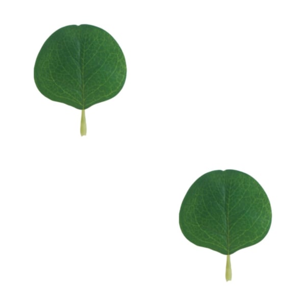 1/2/3/5 50x realistiska konstgjorda eukalyptusblad för inomhus eller springgreen 2Set