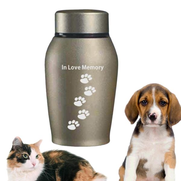 1/3 Pet Urnor Remembrance Loose Memorial Husdjur presentlåda Gold 13.5 x 6cm 1Set