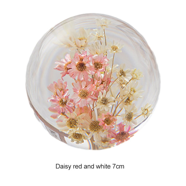 1/2/3/5 Utsökt blomma kristallkula present för alla tillfällen Daisy red white 7cm 1Set