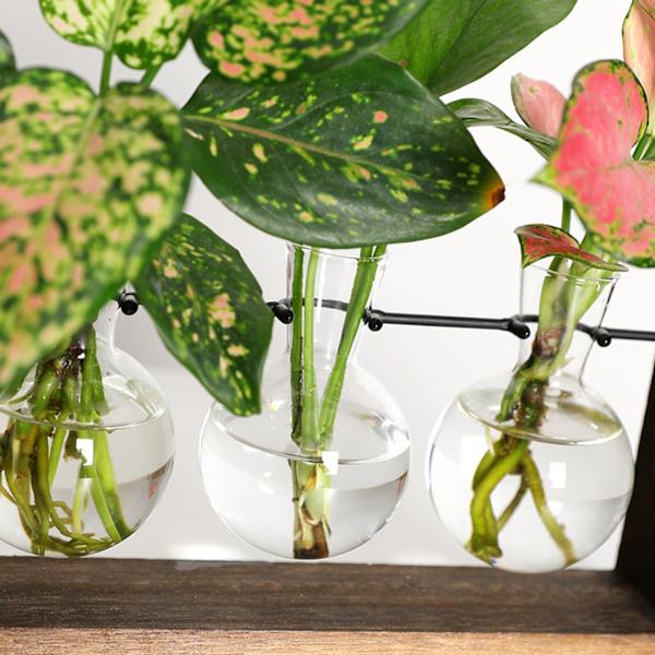 1/2/3 Glasprovrör Vas Planteringskärl Växt Terrarium för Clear 28 x 40cm 1Set