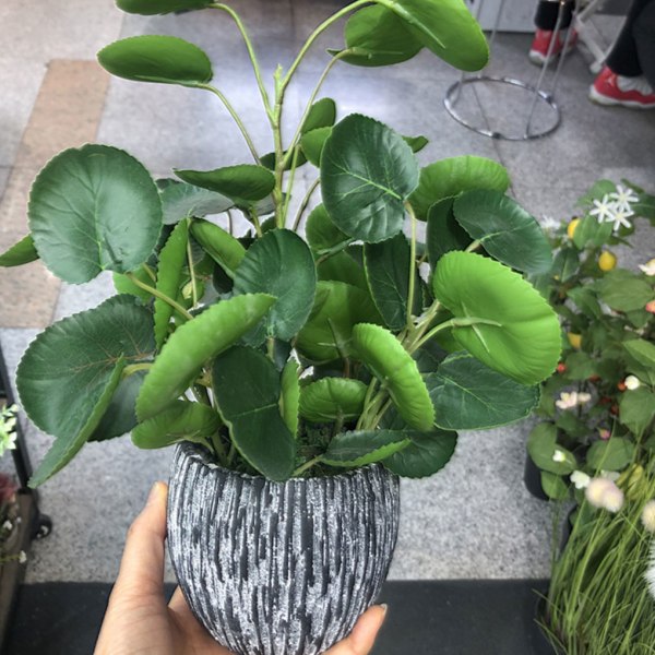 Gröna konstgjorda krukväxter Riktigt utseende fiolblad för