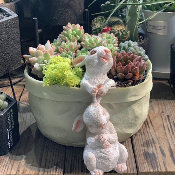 1/2 Resin Snygg kanin Blomkruka Trädgårdar Skönhet inomhus och Rabbit pulling  ears 1 Pc