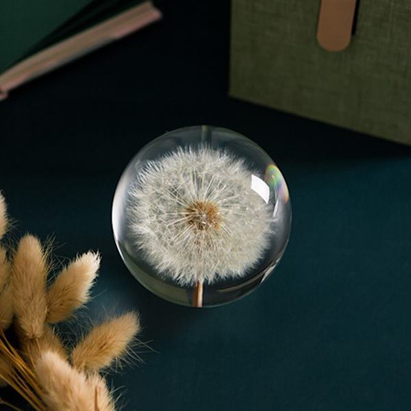 1/2/3/5 Utsökt blomma kristallkula present för alla tillfällen Dandelions 7cm 1Set