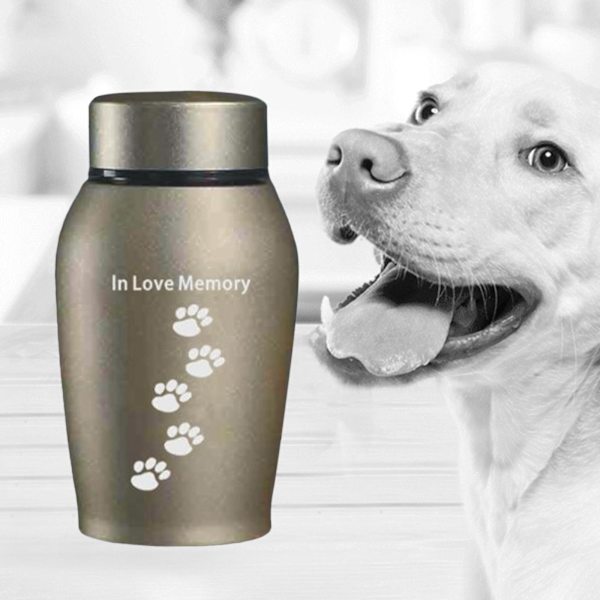 1/3 Pet Urnor Remembrance Loose Memorial Husdjur presentlåda Gold 13.5 x 6cm 1Set