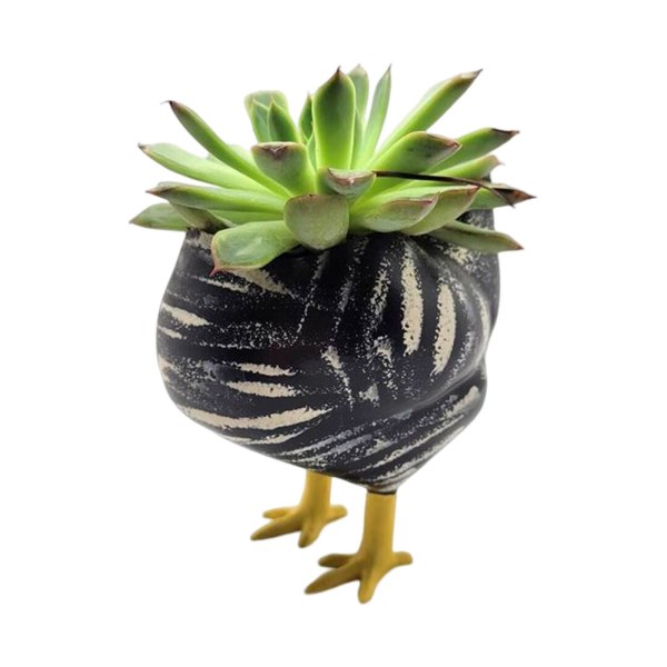 Dekorativ suckulentplanterare Bordsskiva blomkruka Hemmakontor Green Height 12cm