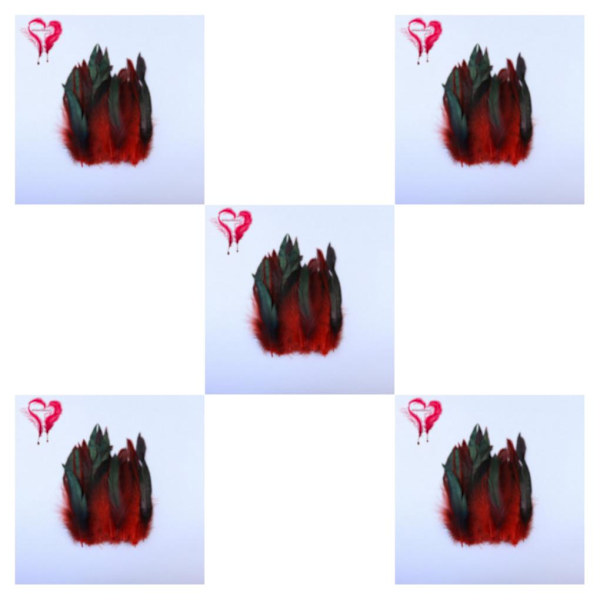 1/2/5 50x Red Gorgeous Feather Craft För Boho Dream Catchers 5Set