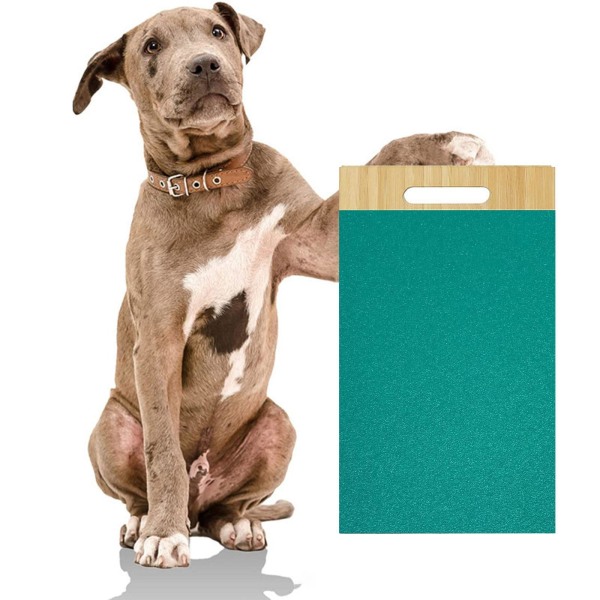 Dog Scratch Pad Nail Scratch Board för valp inomhus hundar Paw