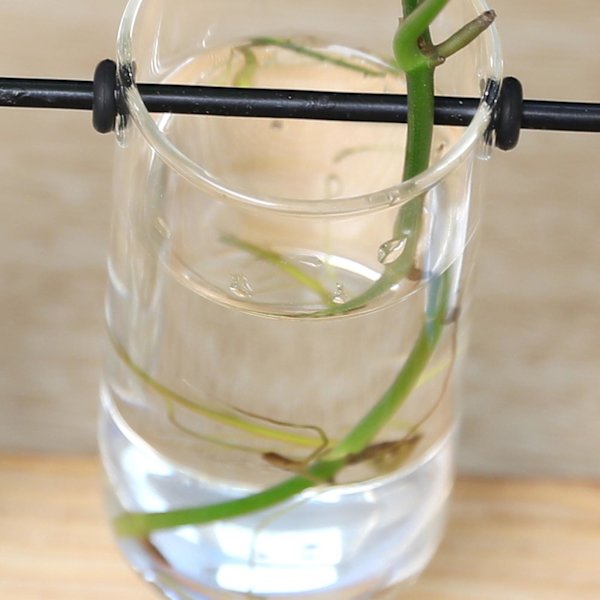 1/2/3 Glasprovrör Vas Planteringskärl Växt Terrarium för Clear 28 x 14cm 1Set