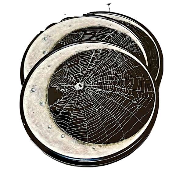 1/3/5 akryl spindelnät Set Snyggt hållbart för Halloween Square 1Set