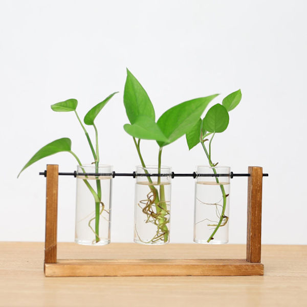 1/2/3 Glasprovrör Vas Planteringskärl Växt Terrarium för Clear 28 x 14cm 1Set