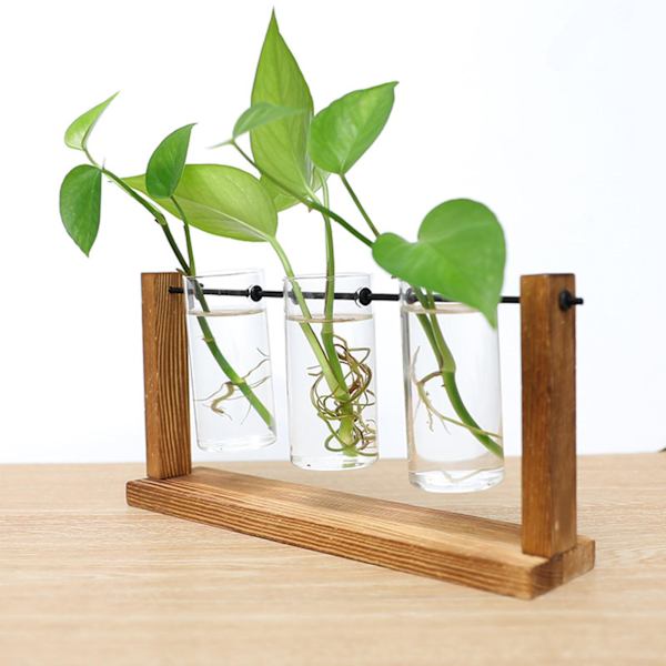 1/2/3 Glasprovrör Vas Planteringskärl Växt Terrarium för Clear 28 x 14cm 1Set