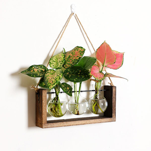 1/2/3 Glasprovrör Vas Planteringskärl Växt Terrarium för Clear 28 x 40cm 1Set