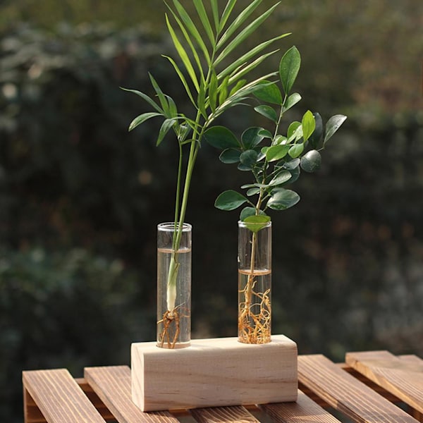 1/2/3 Glasprovrör Vas Planteringskärl Växt Terrarium för Beige 2 Tubes 1Set