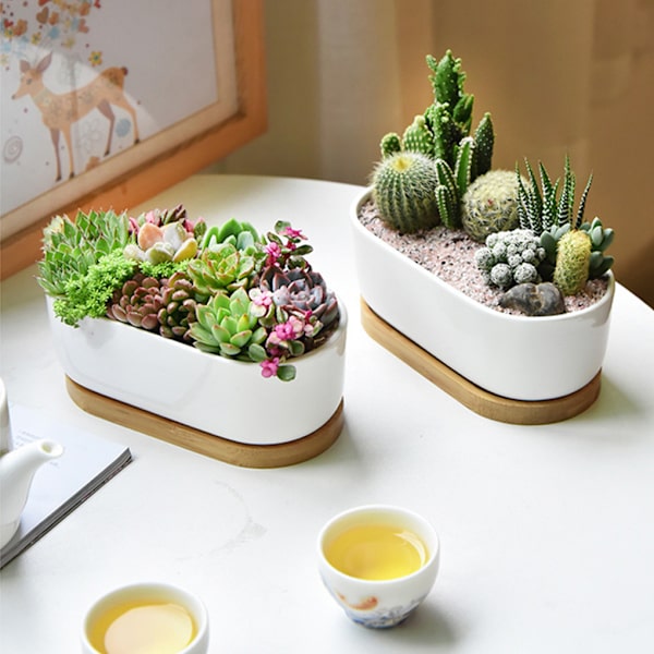 1/2 2 stycken Andningsbar keramikkruka för suckulenta växter present till Planter Pot only 1 Pc