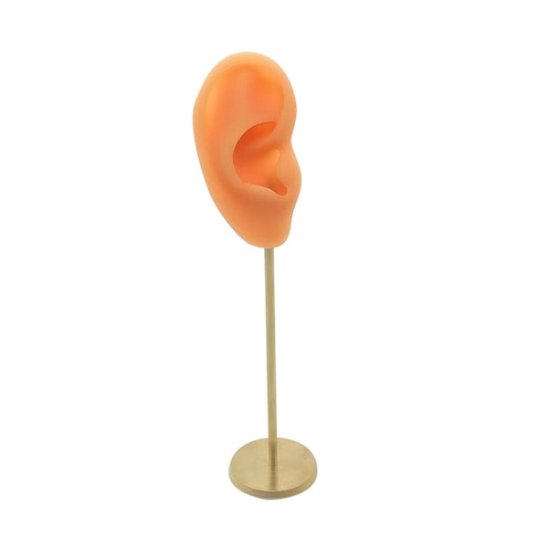 1/2/3 Örhänge Display Stand Human Ear Model Stud Holder Showcase Right Normal Skin Height: 18cm 1Set