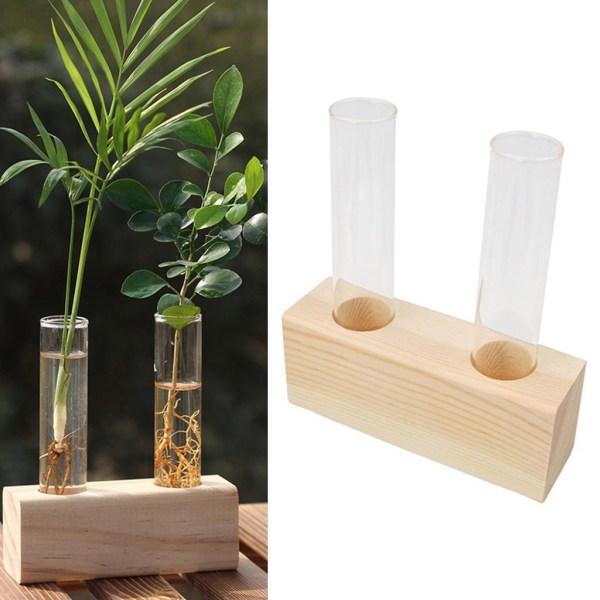 1/2/3 Glasprovrör Vas Planteringskärl Växt Terrarium för Beige 2 Tubes 1Set