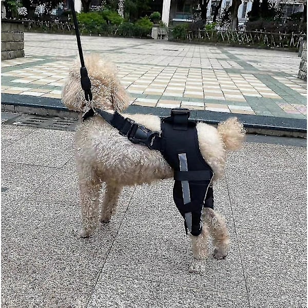 Par Hund Bagbenstøtte Til Hundeben Sårheling, Forebygger Ledskader Og Forstuvninger, Kæledyr Hund Ledbandage Reflekterende Rød{ad} Reflective Red S