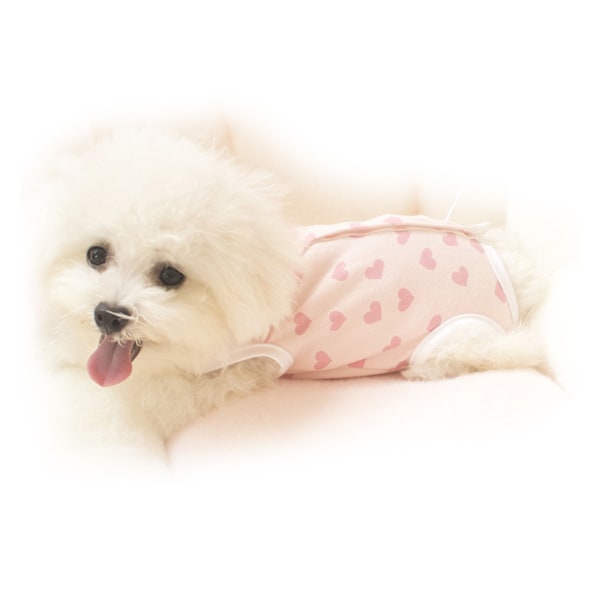 Teacup Dog Clothes Catch Cold Full Stomach Cover Small Teacup Dog Outfit for Spring Autumn Little Red Heart L