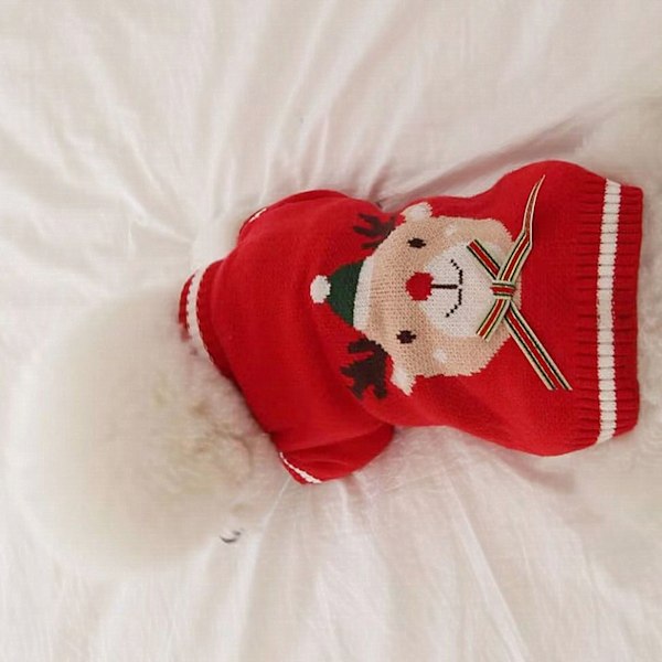 Hund Jultröja Varm Mjuk Snygg Valp Pullover Kläder för Bichon Pomeranian för Höst Vinter Röd Älg M