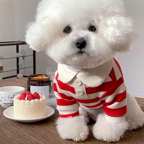 Hundred Stripe Shirt Fashionable Cute Breathable Comfortable Finely Designed Pet Clothes for Small Dogs Cats Red M