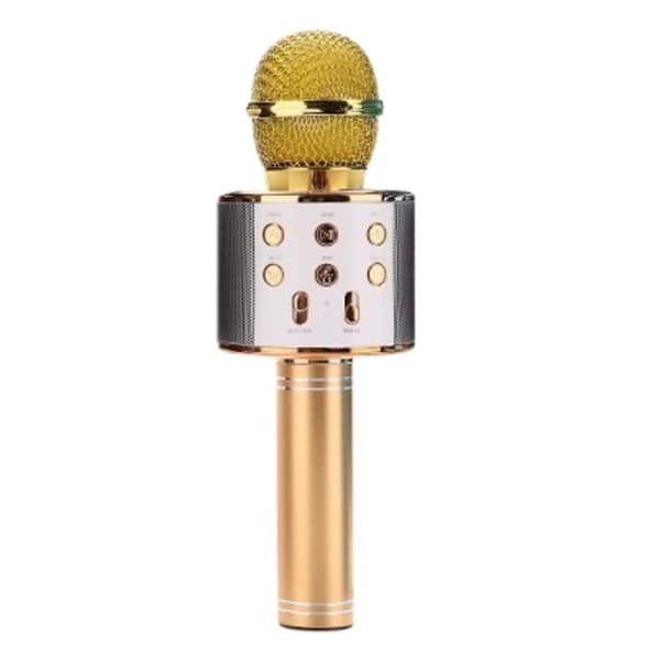 Bärbar trådlös karaokemikrofon Guld