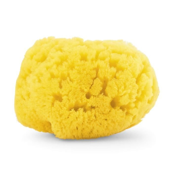 Chicco Natural Sea Sponge 1 kpl Gul