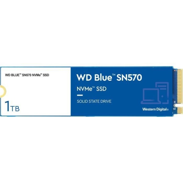 Intern Solid State Drive - WD - SN570 NVMe - 1TB - (WDS100T3B0C)