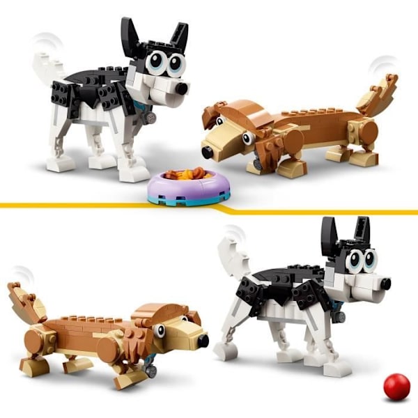 LEGO® Creator 3-i-1 31137 yndige hunde, gravhund, mops, puddelminifigurer, børn fra 7 år og opefter Flerfärgad