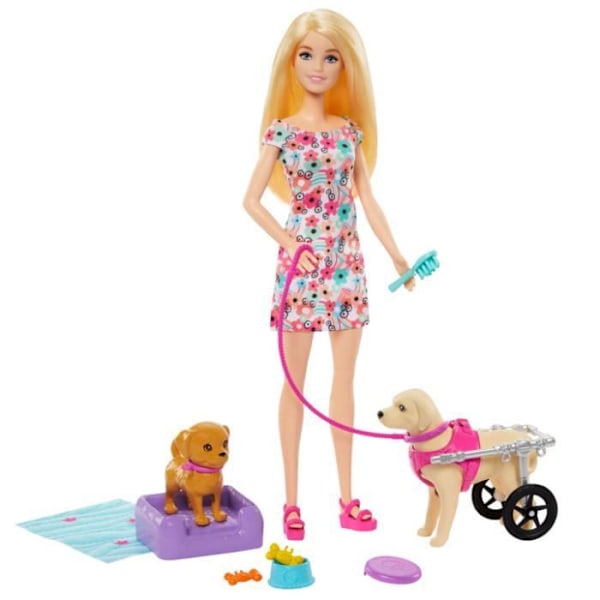 Coffert Barbie - MATTEL - Barbie Fashionistas - 2 hundfigurer - Avtagbar vagn - Rosa Rosa