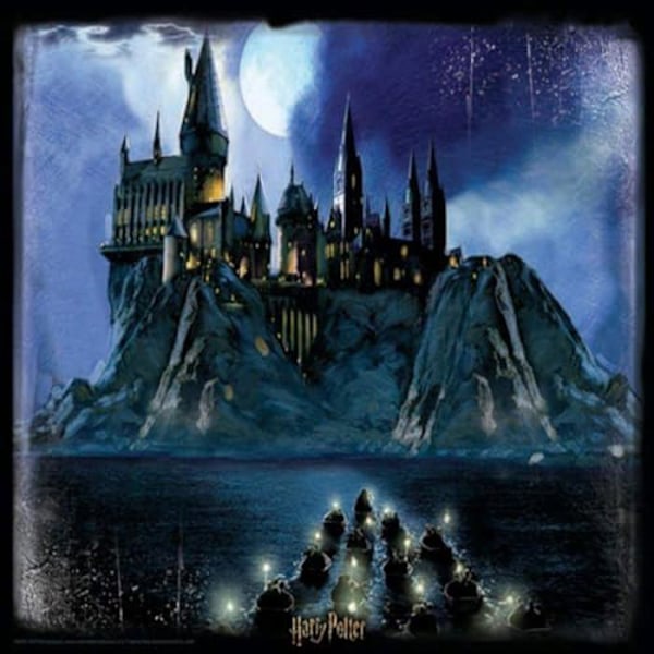 Harry Potter Hogwarts linseformet puslespil - GRANDI GIOCHI - 500 brikker - Fantasy - Interiør - Barn