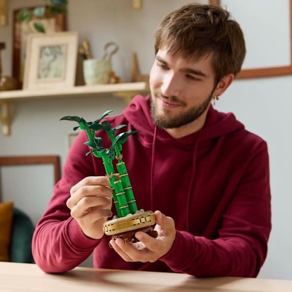 LEGO Botany 10344 Lucky Bamboo - Konstgjord växt och heminredning Grön