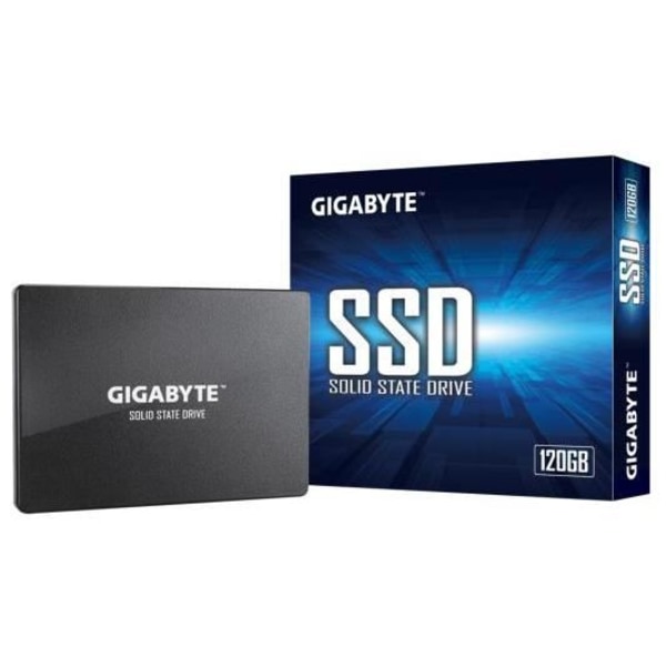 GIGABYTE intern SSD-enhet - UD Pro - 120 GB - SATA3 (GP-GSTFS31120GNTD)