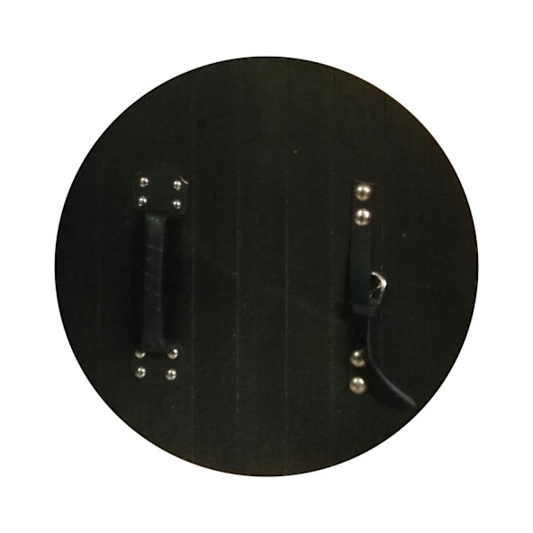 Trämedeltida fyra ormar Viking Shield SWE80 multifärg one size