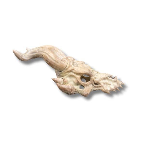 Bone Trophy hårnål Vit M