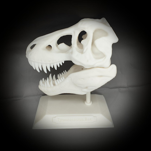 Tyrannosaurus Rex halloween skalle dekoration T-rex med stativ Vit one size