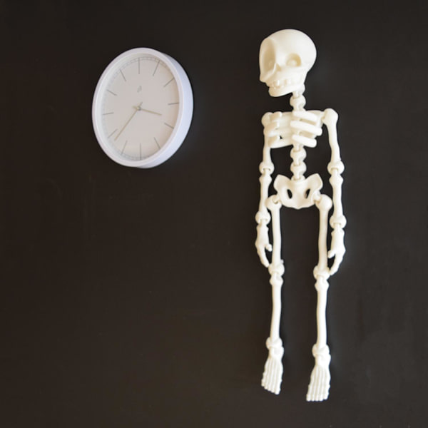 Flexibel dans/vägghängbar gör-det-själv skelettdekoration 76cm Vit one size