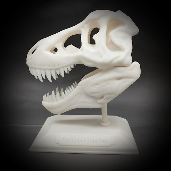 Tyrannosaurus Rex halloween skalle dekoration T-rex med stativ Vit one size