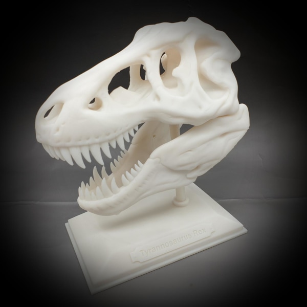 Tyrannosaurus Rex halloween skalle dekoration T-rex med stativ Vit one size