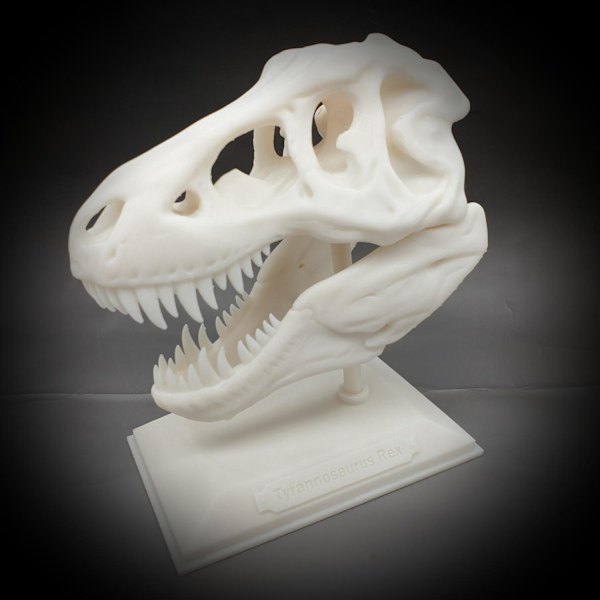 Tyrannosaurus Rex halloween skalle dekoration T-rex med stativ Vit one size