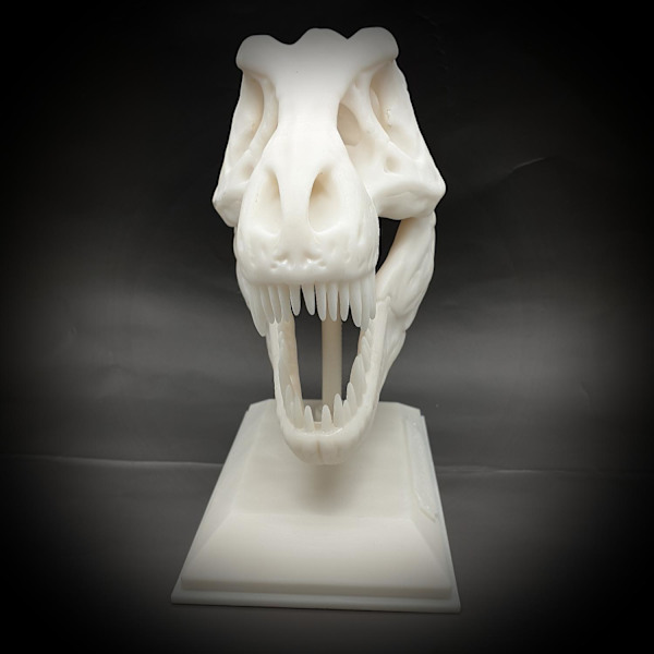 Tyrannosaurus Rex halloween skalle dekoration T-rex med stativ Vit one size