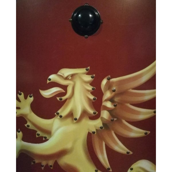 Trämedeltida Rustik Lion Viking Shield SWE134 multifärg one size