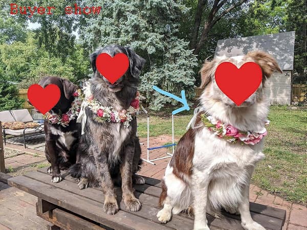 Blomsterkrans til kvinder, Boho blomsterhårbøjle, blomsterkrans med