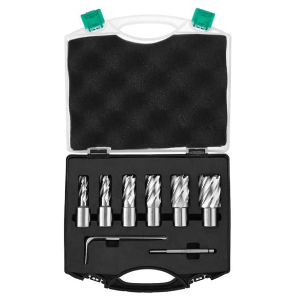 Magnetiska Torx - DUOKU - Set om 6 - Snabbstål M2AL - Skärdjup 1" - Weldon-skaft