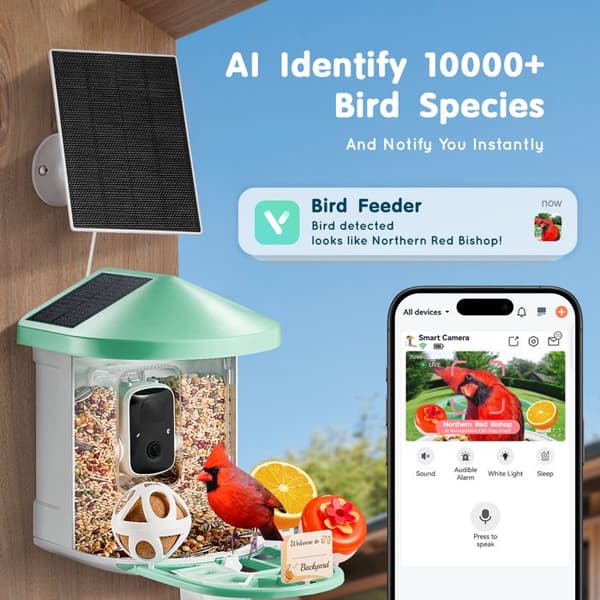 Intelligent Fuglefoder Kamera-Duoku-2K HD-KI 10000+ arter-3 Solpaneler-Automatisk optagelse-Besked