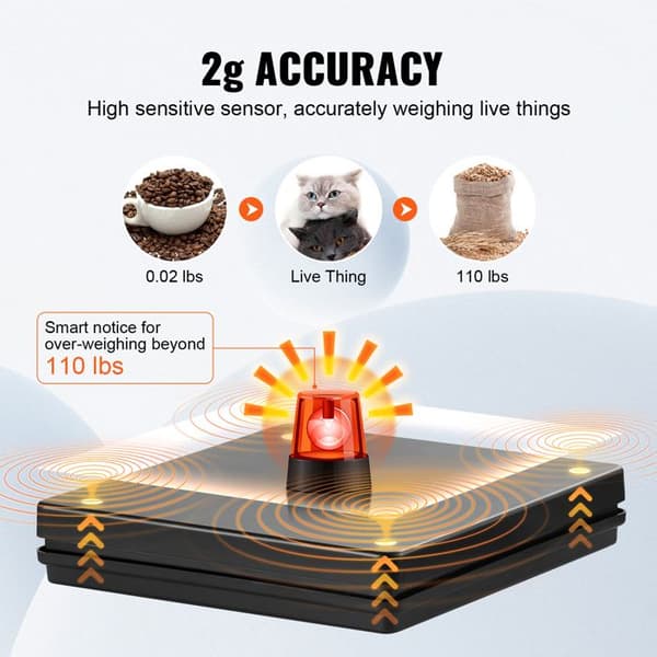 Digital Shipping Scale - DUOKU - SF-890 - 50 kg - Precision 2 g - LCD Display