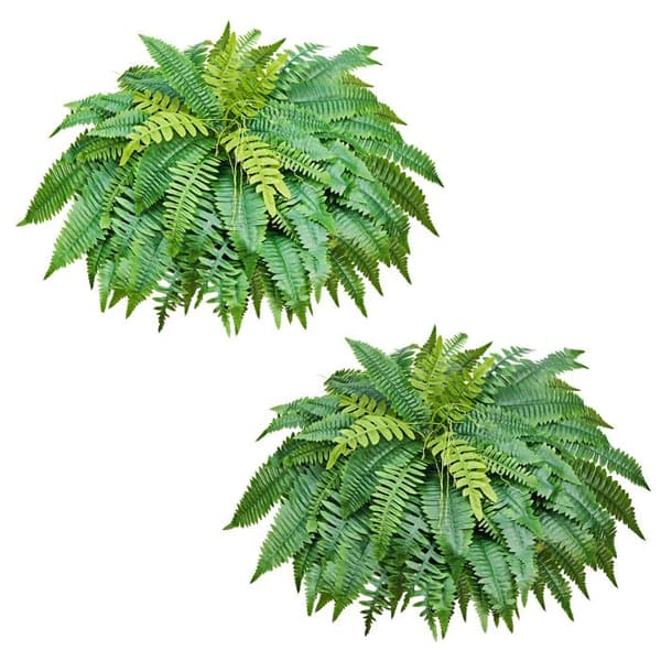 Faux Ormbunke-Duoku-1143 mm-Bostonväxt-med 63 Frondar-Siden- och LDPE-design-Set om 2