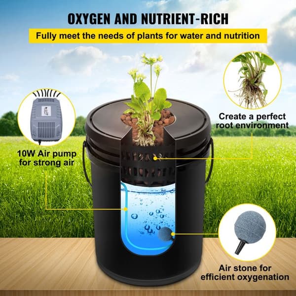 DWC Hydroponiskt Odlingssystem-Duoku-Avancerad Hydroponisk Konfiguration-4 Stycken 5 Gallon Hinkar-DWC System med Luftpump