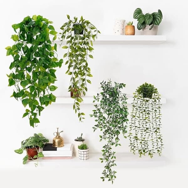 4-pak hængende dekorative planter