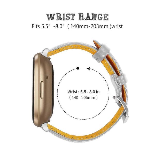 Ægte koskindslæder urrem til Fitbit Versa 4/Sense 2, 20 mm slank urrem - Grå Multicolor Bright Silver