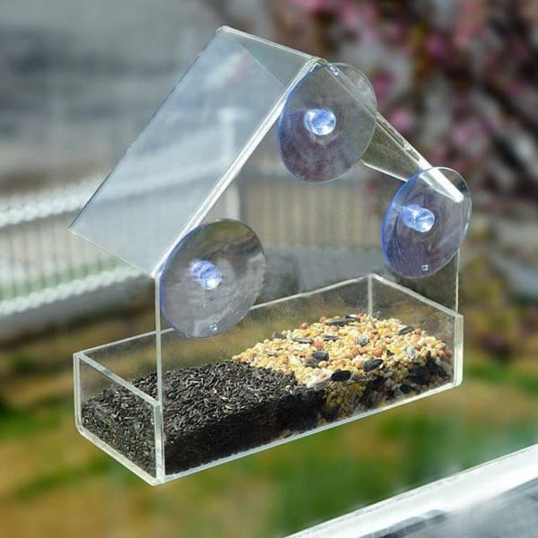 Fuglefoderhus i transparent husdesign til vinduer - med vejrbeskyttelse